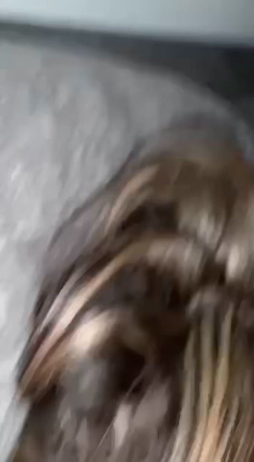 Blowjob Big Dick Cumshot Deepthroat Short Video #11976 video thumbnail