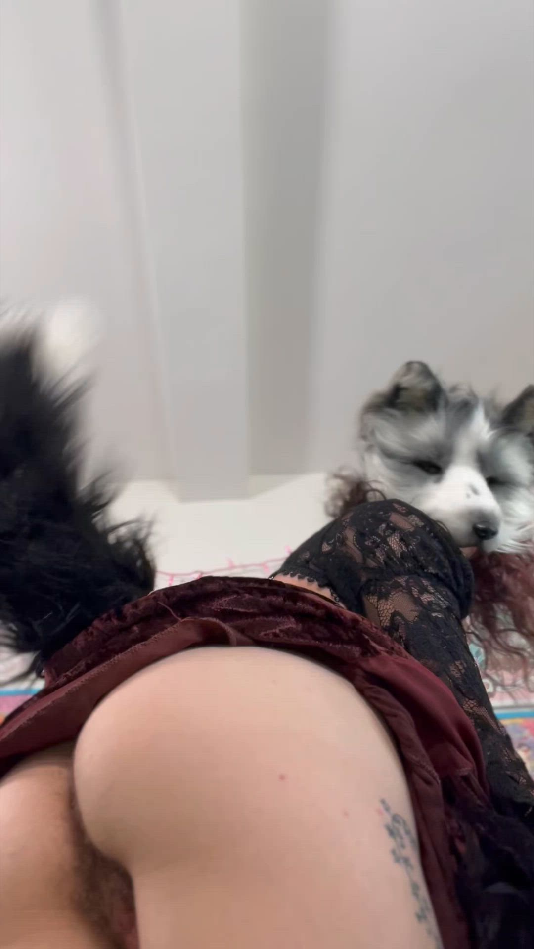 OnlyFans Trans Femboy Ftm Short Video #4984 video thumbnail