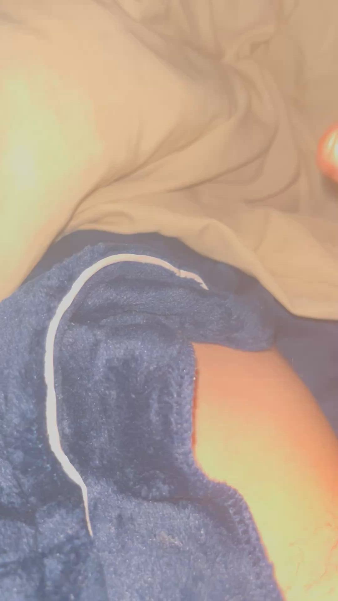 Amateur Big Dick Homemade Cumshot Short Video #7640 video thumbnail